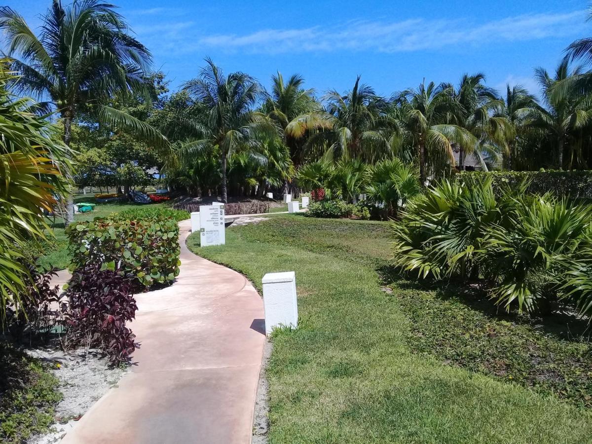 Swim The Caribbean & Work With A View Apartment Cancun Luaran gambar