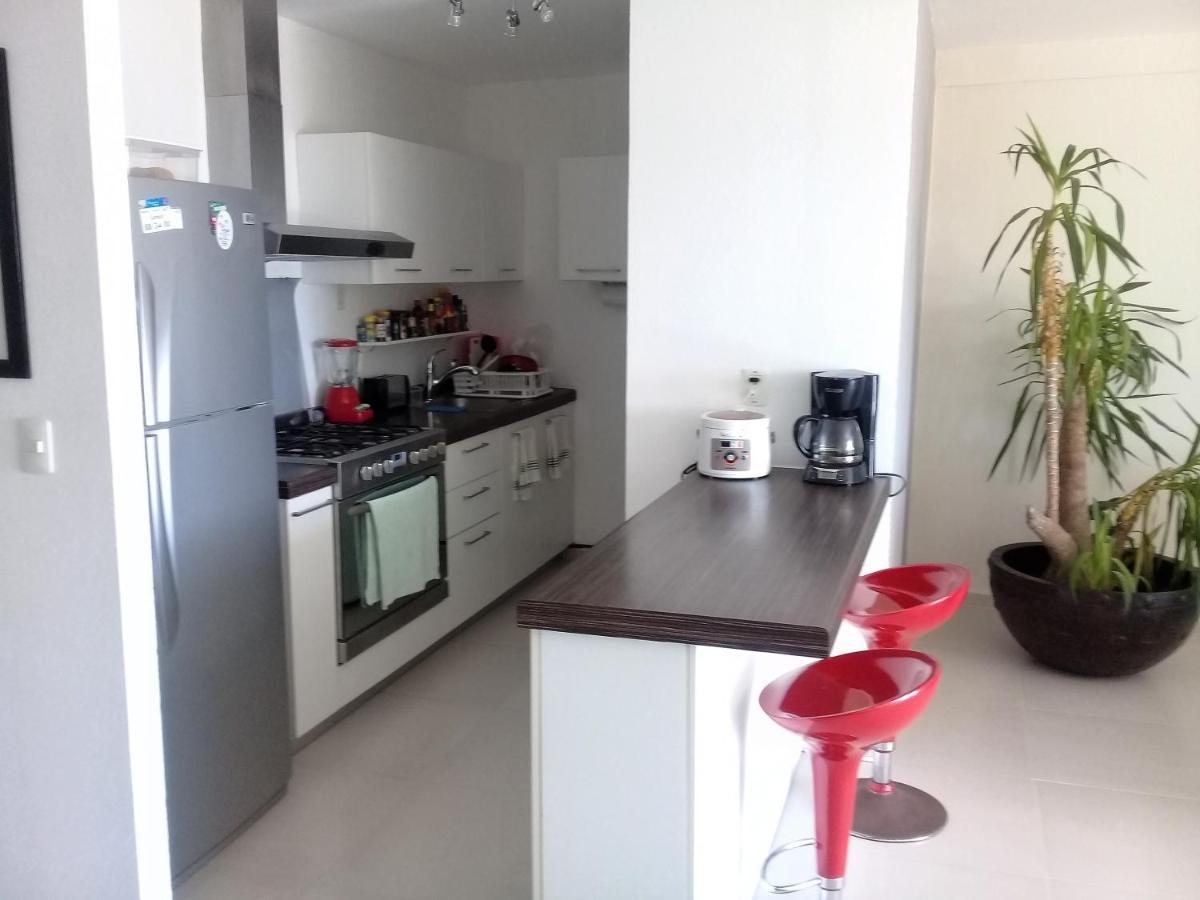 Swim The Caribbean & Work With A View Apartment Cancun Luaran gambar