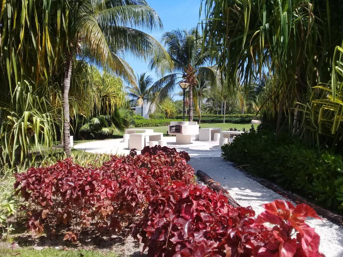 Swim The Caribbean & Work With A View Apartment Cancun Luaran gambar
