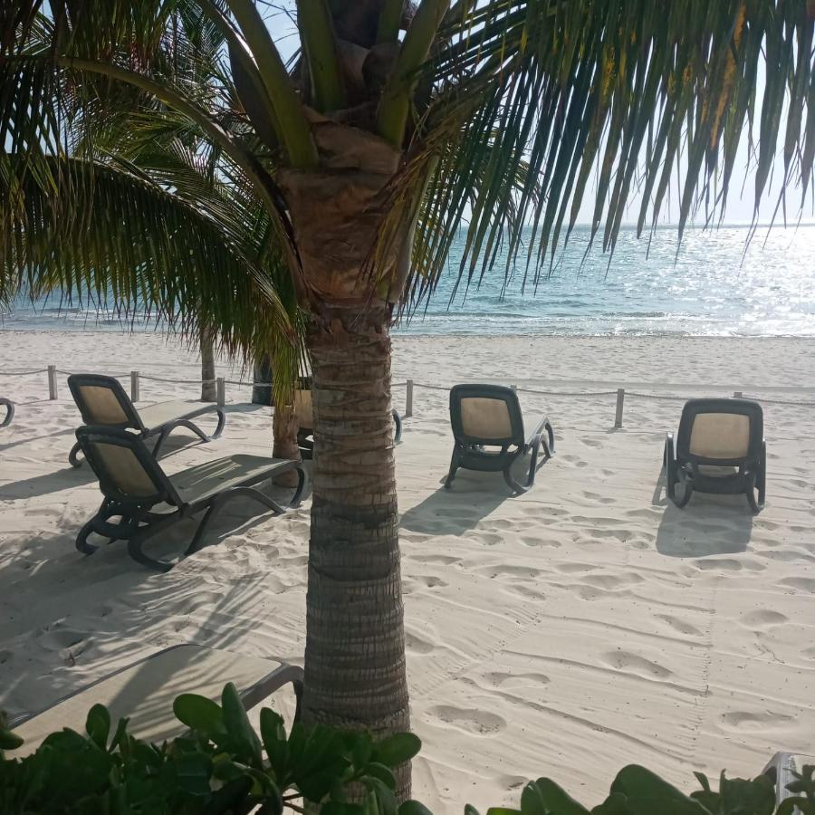 Swim The Caribbean & Work With A View Apartment Cancun Luaran gambar